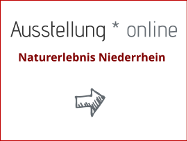 Ausstellung * online   Naturerlebnis Niederrhein